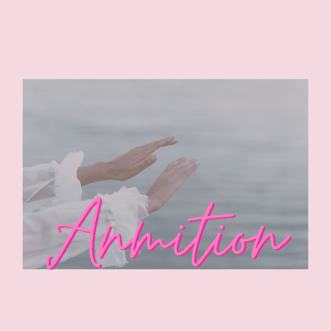 Anmotion